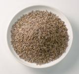 Dillsamen für Pferde kaufen