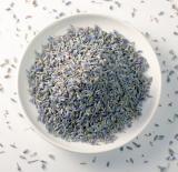 Lavendel für Pferde zur Entspannung und Hautpflege